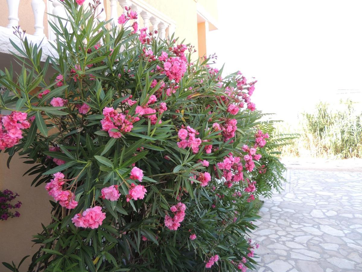 Apartman Husic باغ المظهر الخارجي الصورة