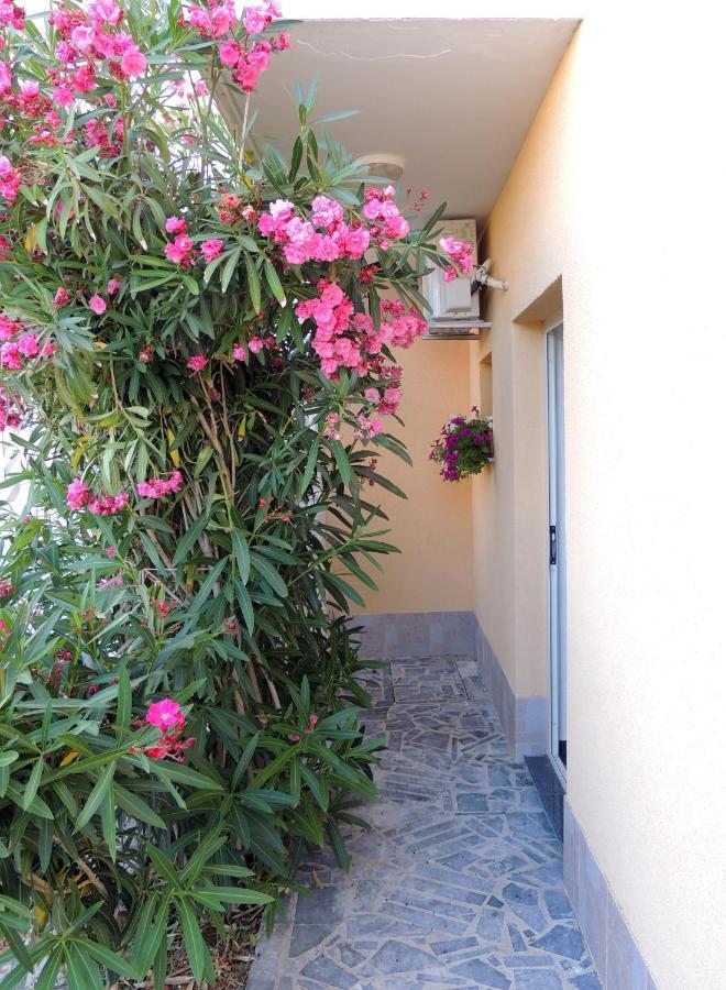 Apartman Husic باغ المظهر الخارجي الصورة