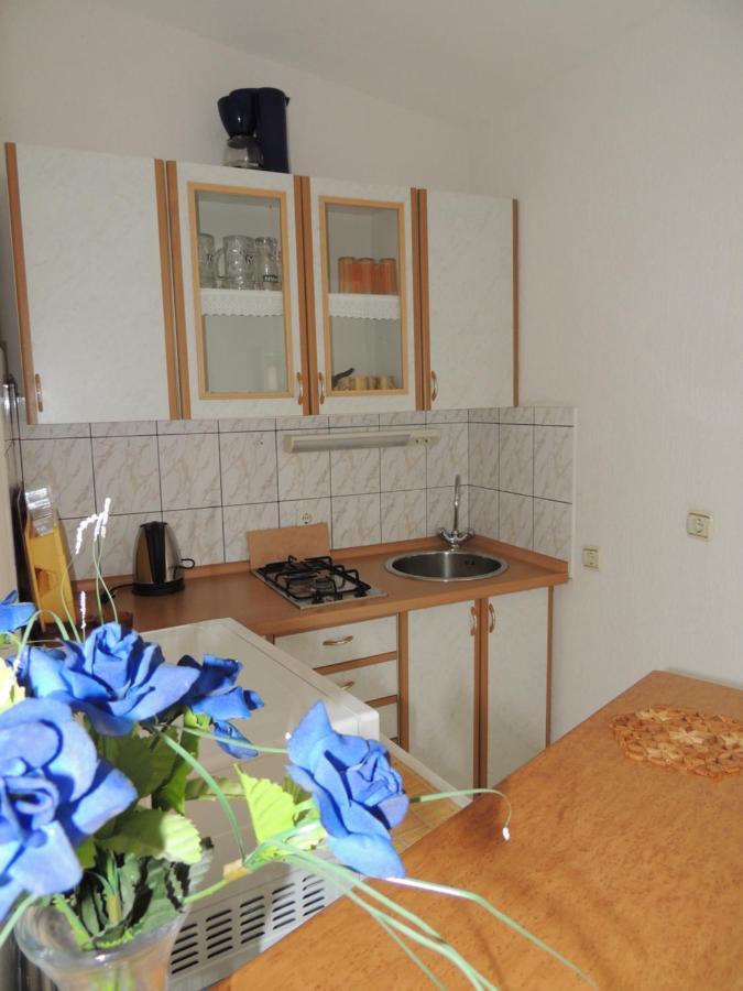 Apartman Husic باغ المظهر الخارجي الصورة