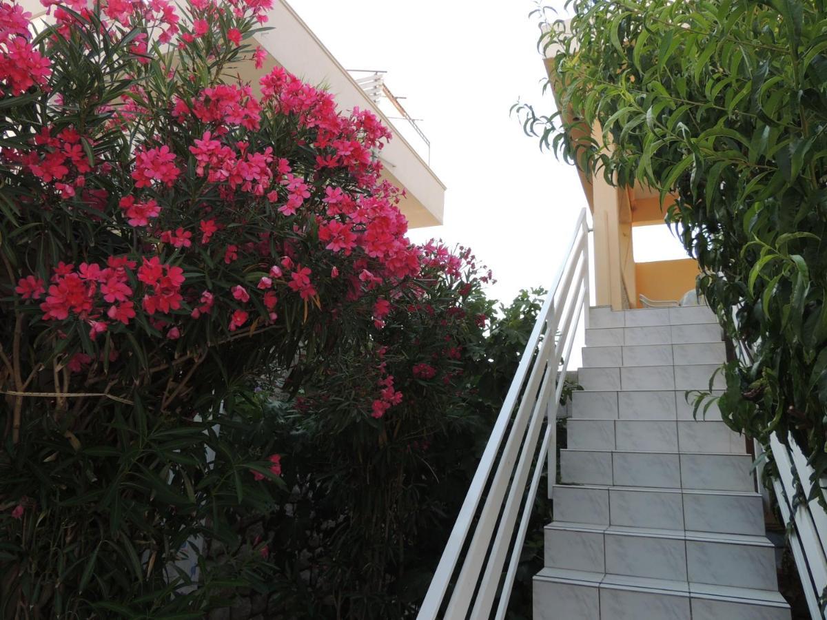 Apartman Husic باغ المظهر الخارجي الصورة